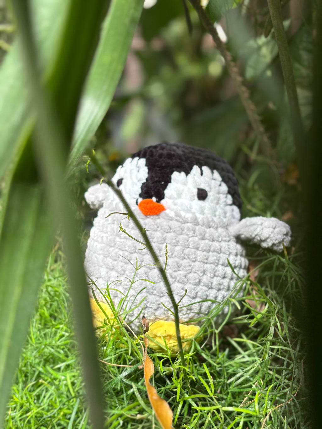 Grey Penguin