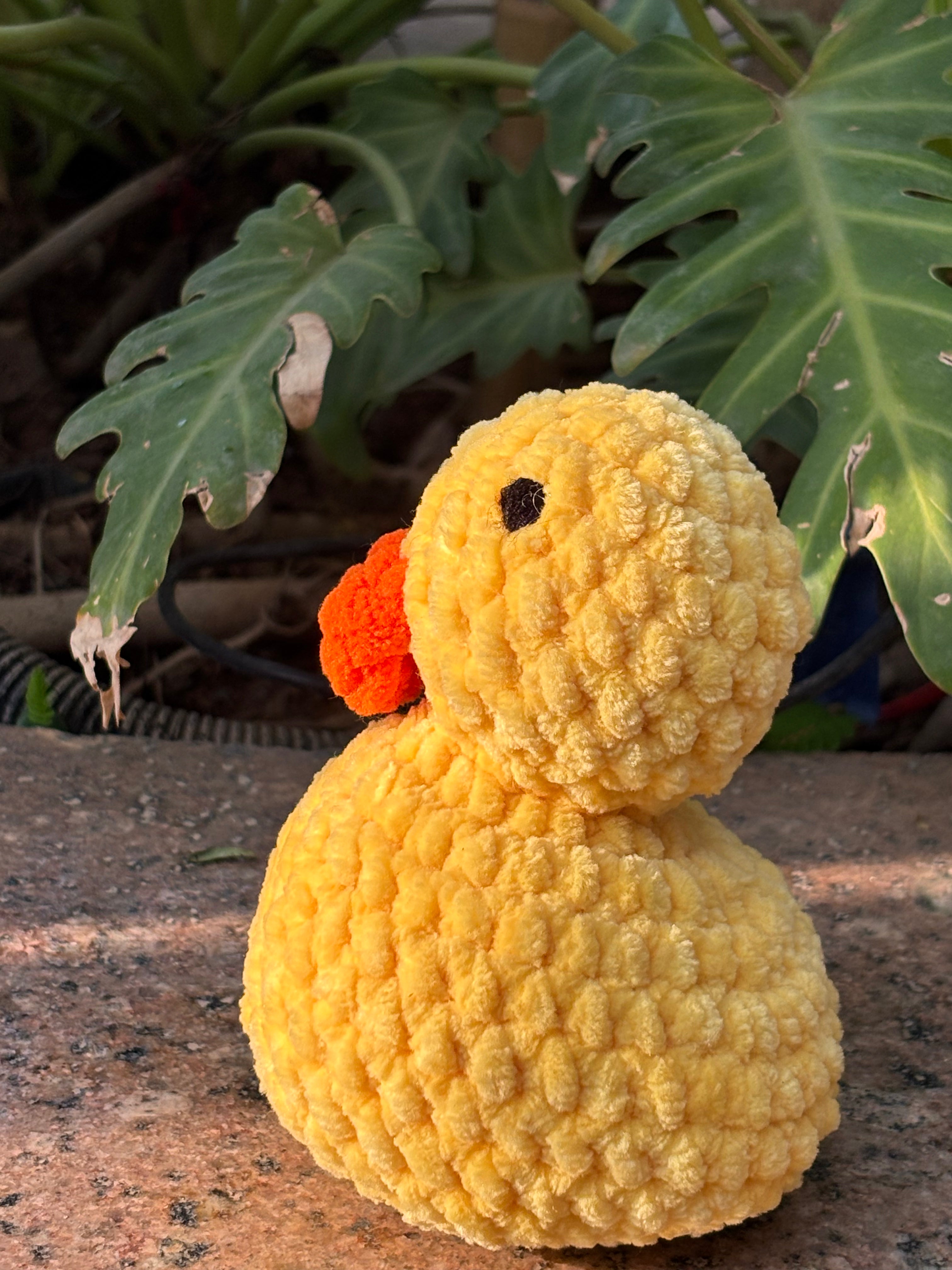 Yellow Duck